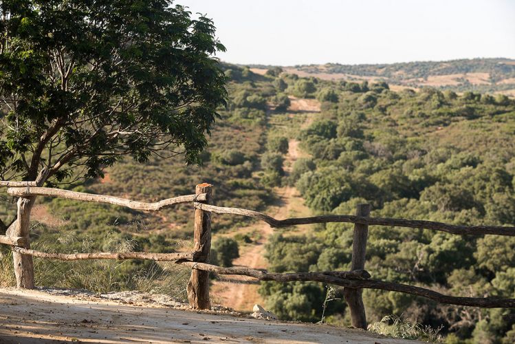 cortijo-mina-11