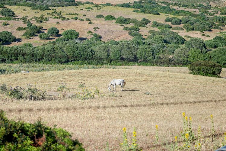 cortijo-mina-12