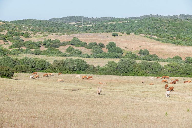 cortijo-mina-14