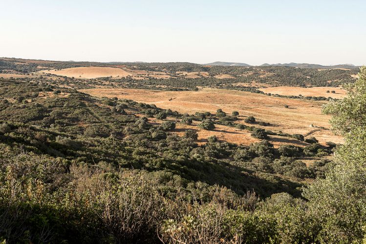 cortijo-mina-15