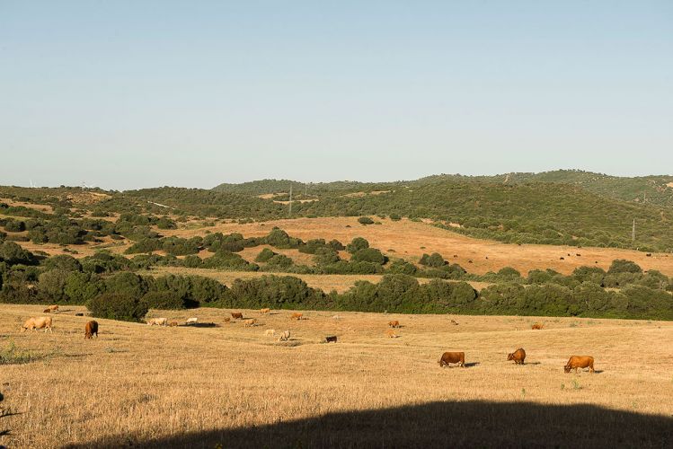 cortijo-mina-18