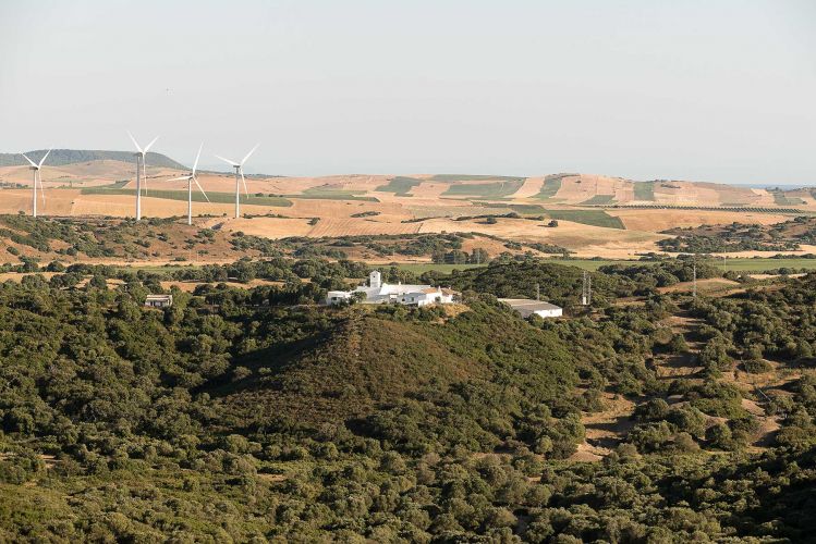 cortijo-mina-3