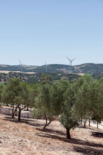 cortijo-mina-39