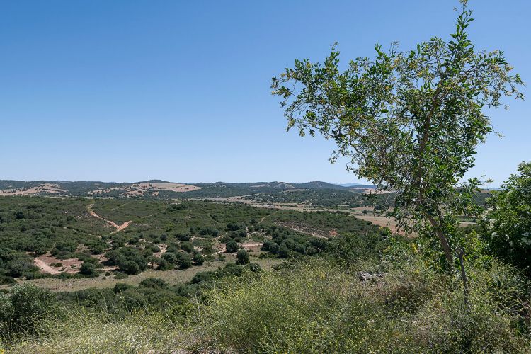 cortijo-mina-50