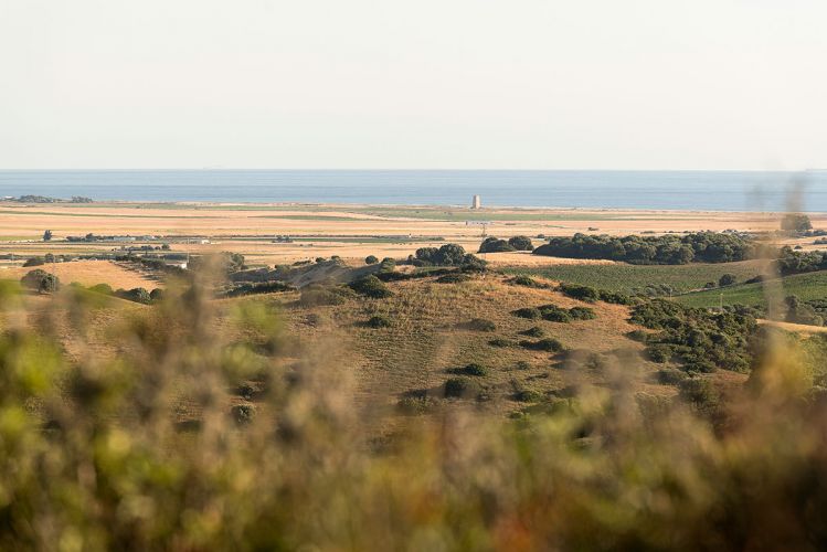 cortijo-mina-67