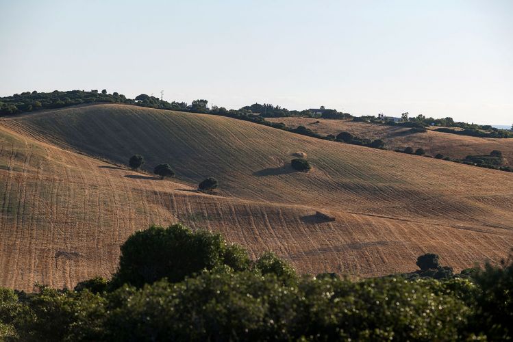 cortijo-mina-71