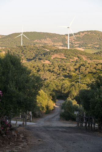 cortijo-mina-79