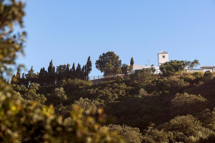 cortijo-mina-8